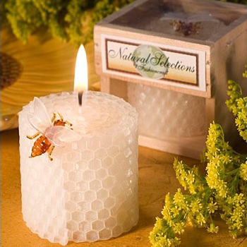 Kinderverjaardagsfeestje Benod - Candle Supplies Usa recensie en prijs